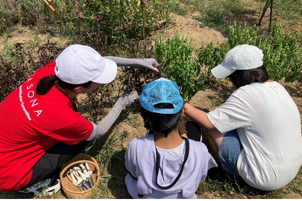  ひだまり×Awaji Nature Farm 体験型農業イベント     